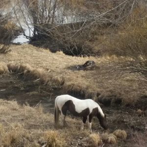 Meet your Posher, Wendy